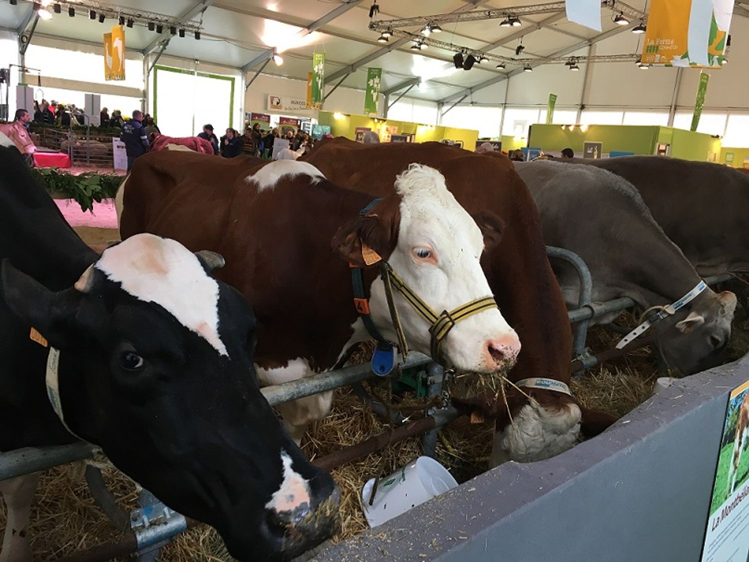 La « ferme Côte d’Or » ouvrira samedi sur la foire de Dijon